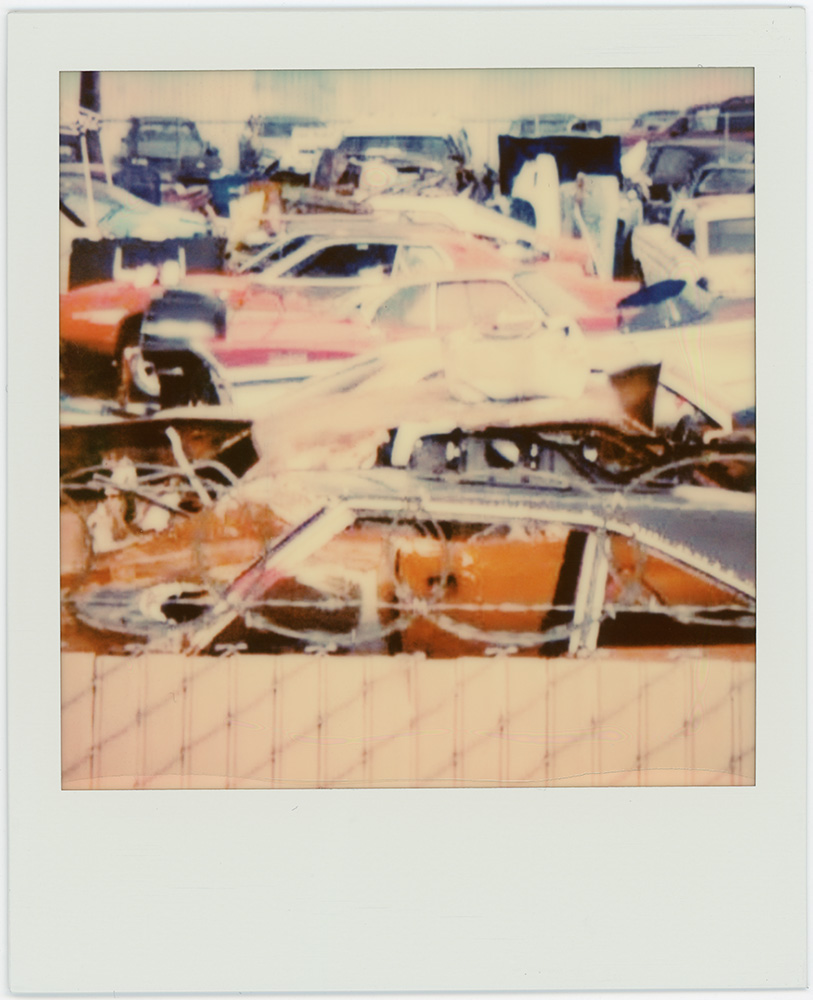 Polaroid 14